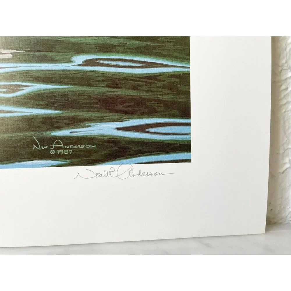 Neal Anderson Courtship-Pintails Duck Print 1997 Limited Edition Signed 901/1000